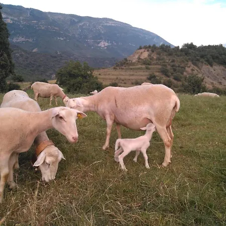 La Estiva Alpesi faház *