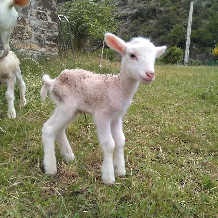 La Estiva Alpesi faház San Juan