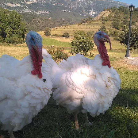 La Estiva Alpesi faház *