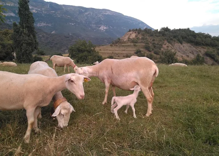 La Estiva Alpstuga *