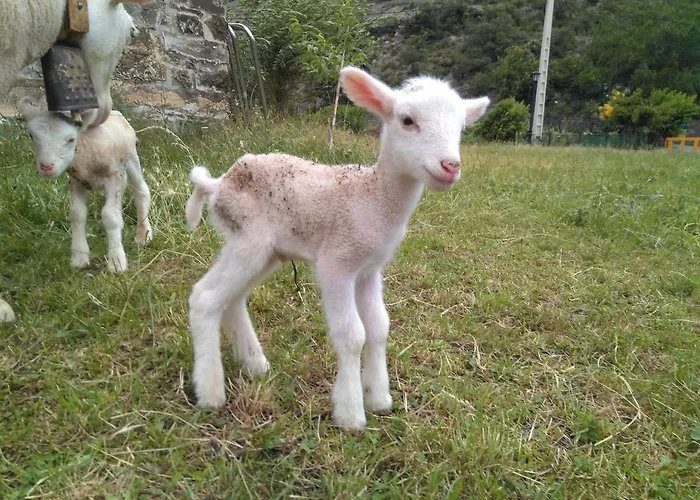 La Estiva Alpstuga San Juan (Aragon)