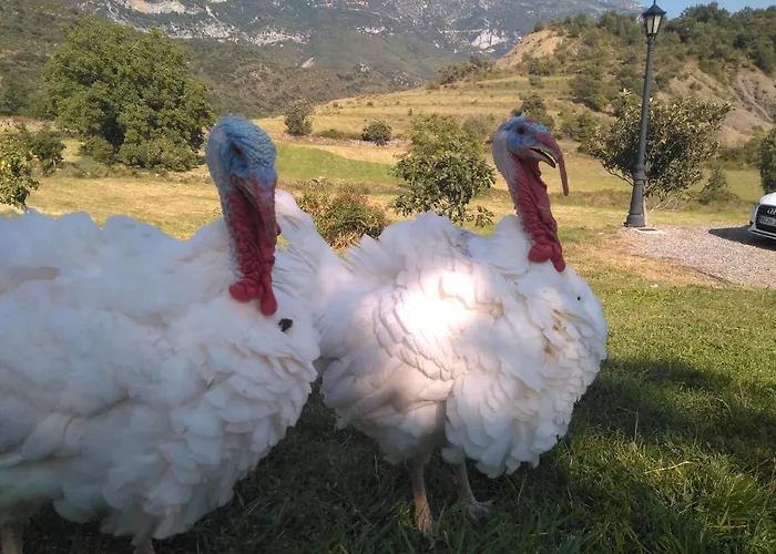 La Estiva Alpstuga *